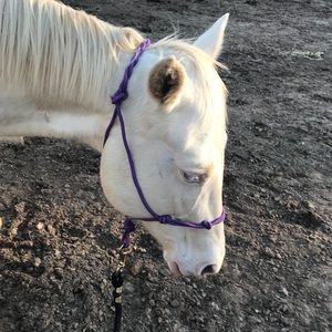 Meet your Posher, Tori